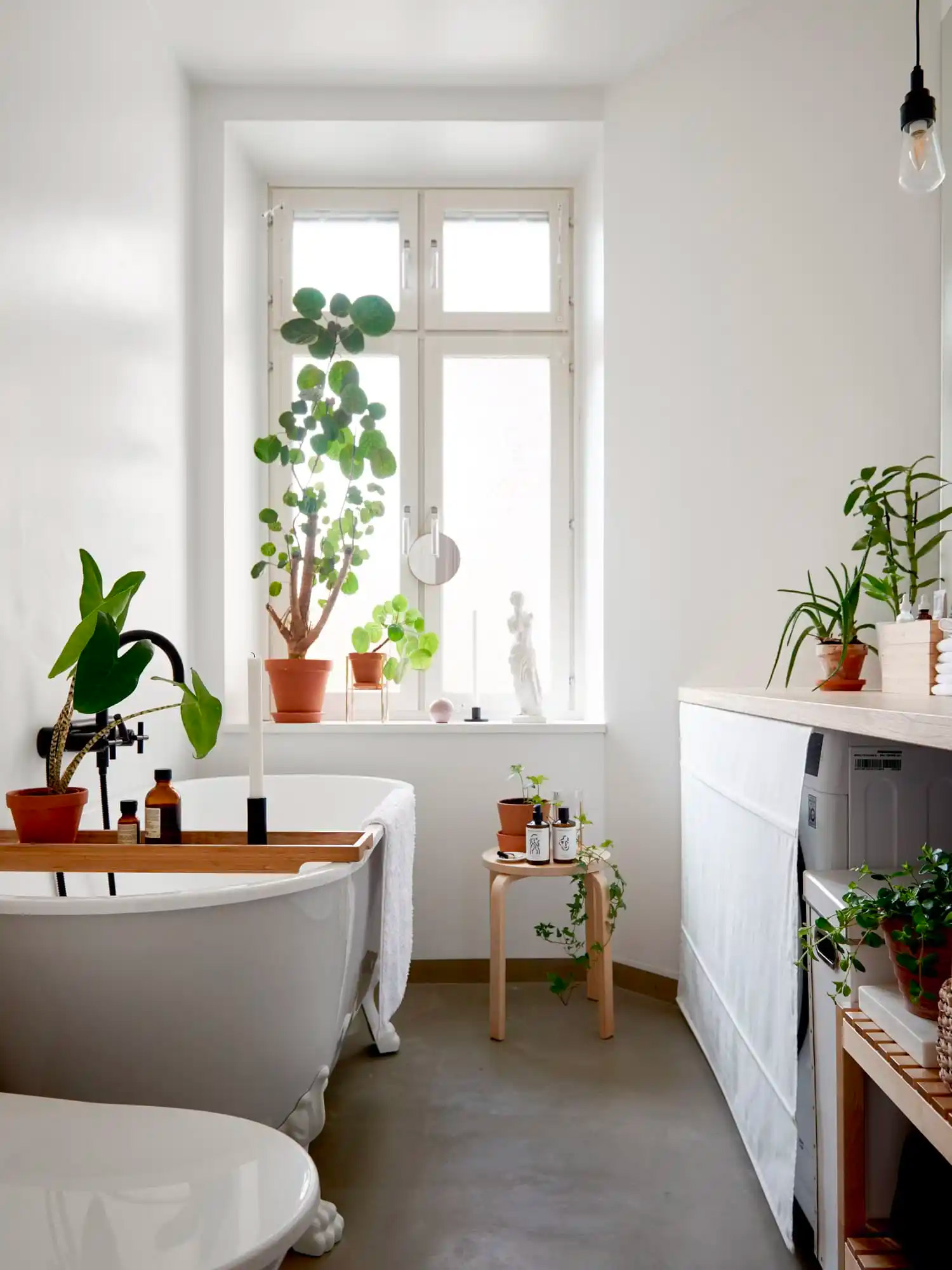 kleine plantjes badkamer