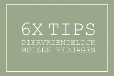 Muis verjagen tips