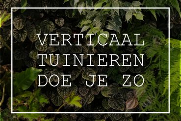 Verticaal tuinieren